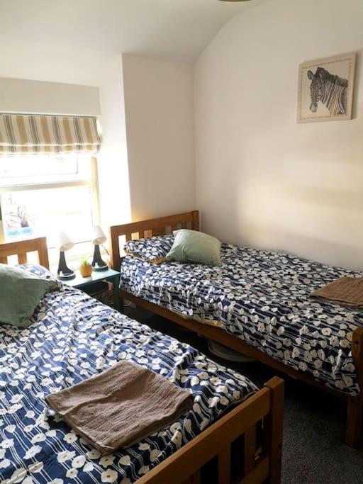 Dol Bach - Your Homely Welsh Cottage In The Heart Of Snowdonia Blaenau Ffestiniog Buitenkant foto