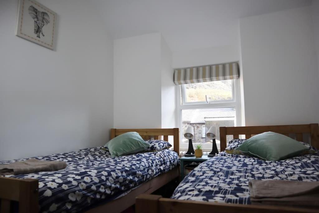 Dol Bach - Your Homely Welsh Cottage In The Heart Of Snowdonia Blaenau Ffestiniog Buitenkant foto